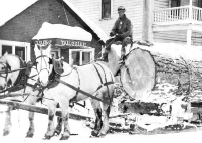 Carl Brown and horse-drawn sleigh with logs